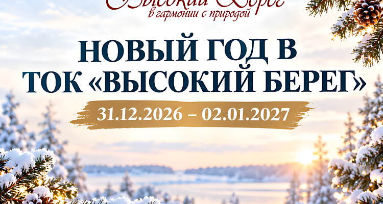 НОВЫЙ ГОД В ТОК «ВЫСОКИЙ БЕРЕГ»