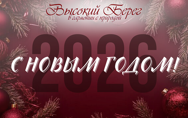 С НОВЫМ ГОДОМ!