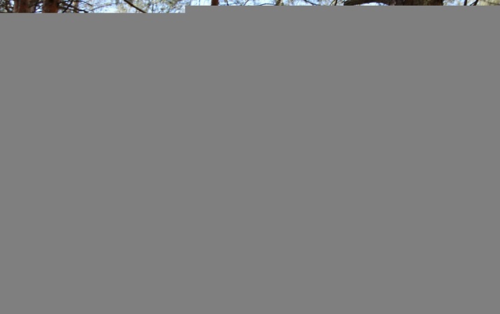 Развлекательная программа «Посвящение в туристы»